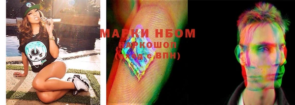 ГАЛЛЮЦИНОГЕННЫЕ ГРИБЫ Аркадак