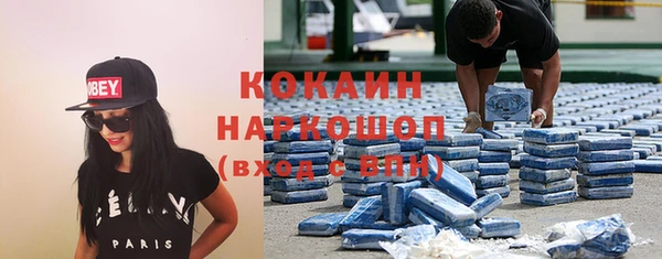 ГАЛЛЮЦИНОГЕННЫЕ ГРИБЫ Аркадак