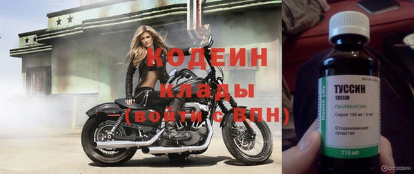 ГАЛЛЮЦИНОГЕННЫЕ ГРИБЫ Аркадак